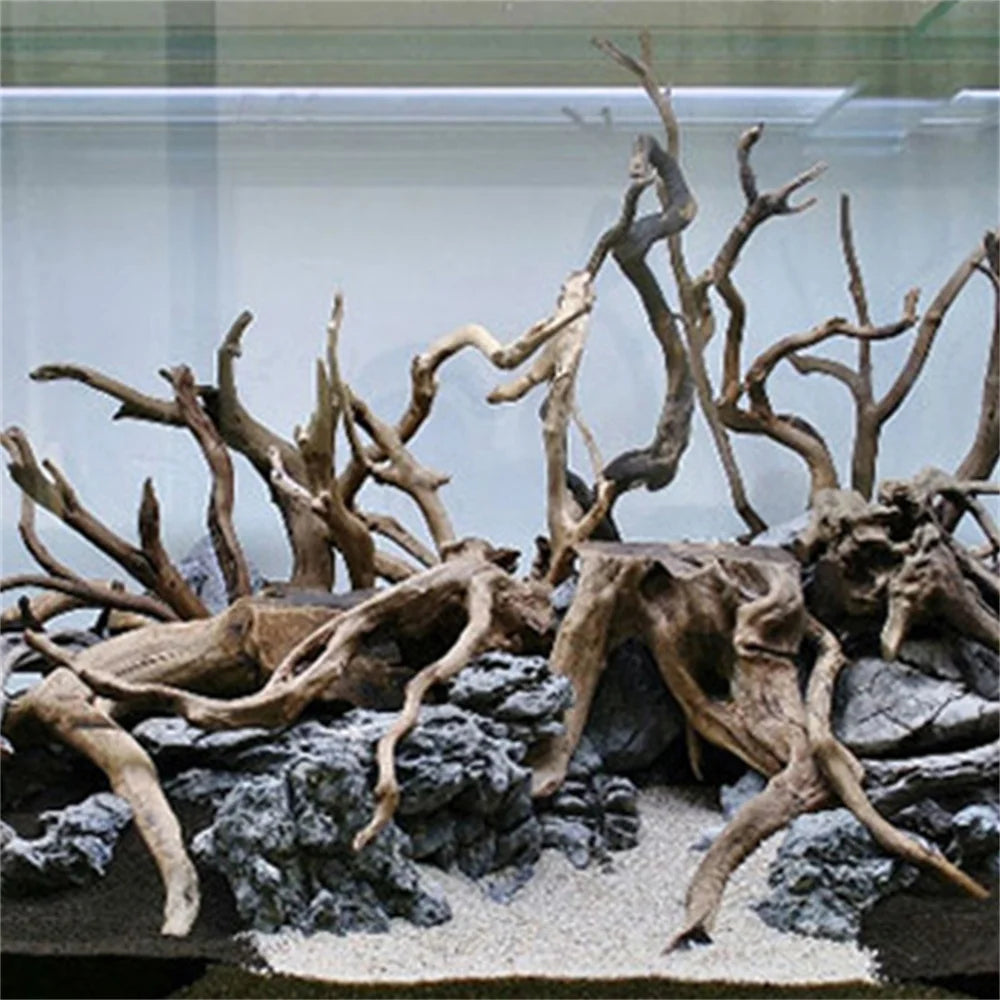 2PCS Natural Tree Trunk Driftwood: Unique Aquarium Ornaments - PlantedPro