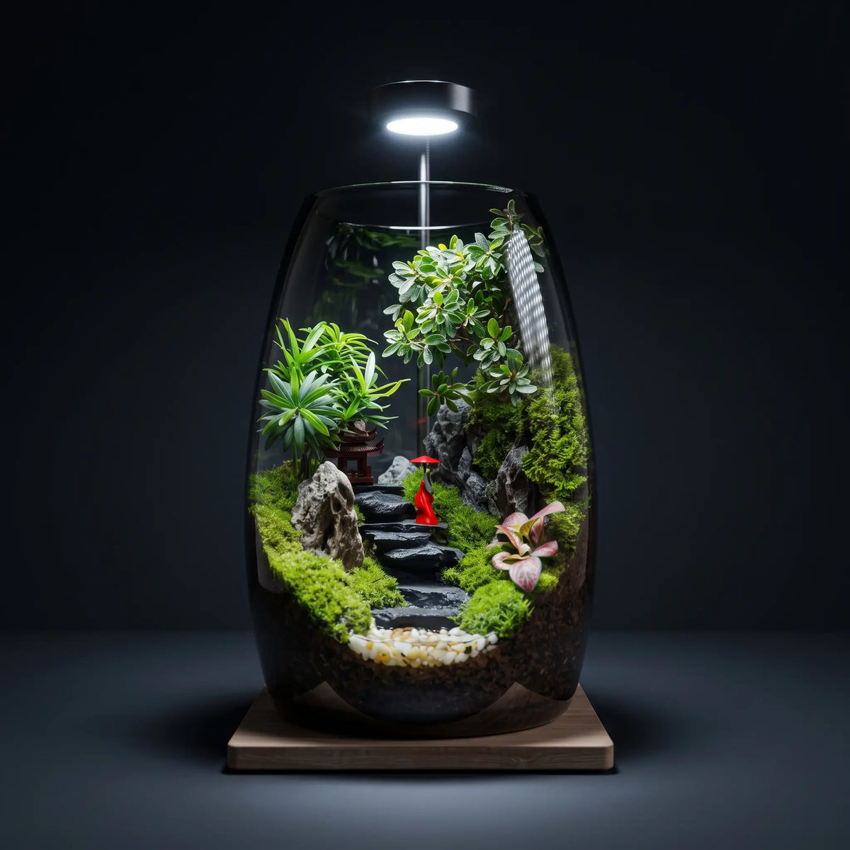Kyoto Zen Moss Micro-Landscape [Including Internal Plants + Decoration]