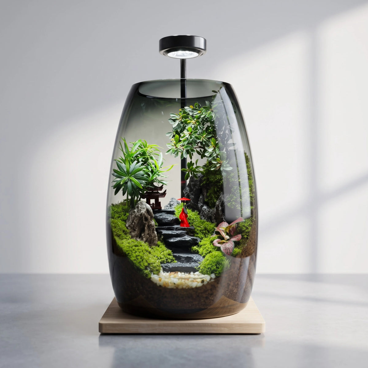 Kyoto Zen Moss Micro-Landscape [Including Internal Plants + Decoration]