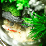 Mini Haven Flowing Water Micro-Landscape side angle showing full terrarium and water flow path