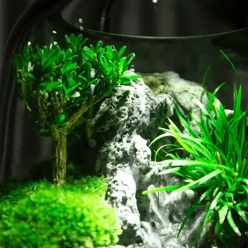 Mini Haven Micro-Landscape detail view of internal plants and layered moss terrain