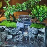 Moss Running Water detail view of internal plants and layered moss terrain