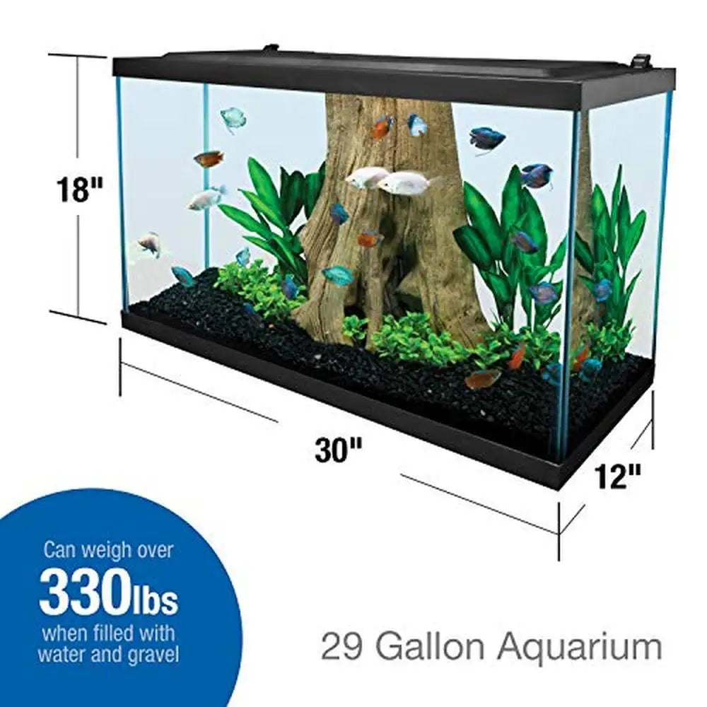 29-Gallon Rectangular Glass Aquarium Kit