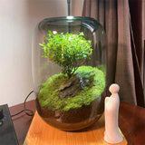 Grey glass bottles for moss landscaping and glass terrariums. - PlantedPro