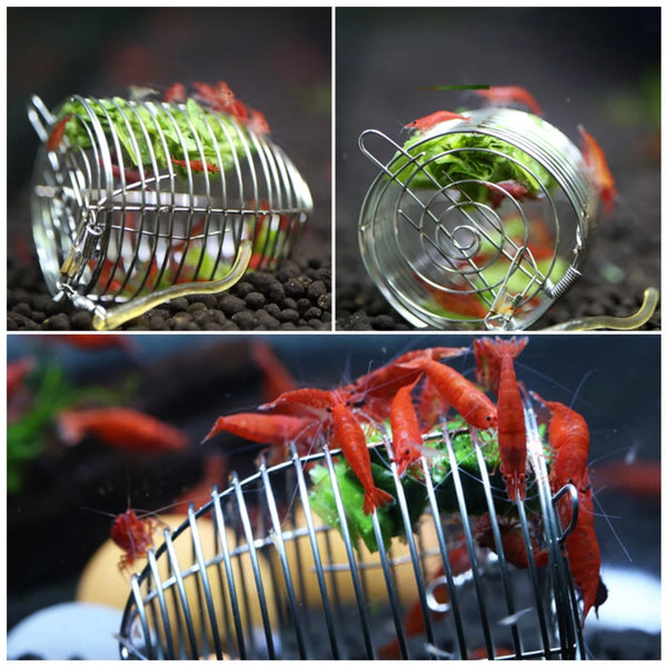 Shrimp Feeding Dish Stainless Steel - PlantedPro