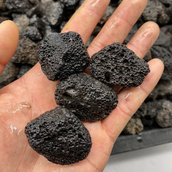 Natural Volcanic Rock Bio Filter Media for Aquariums - PlantedPro