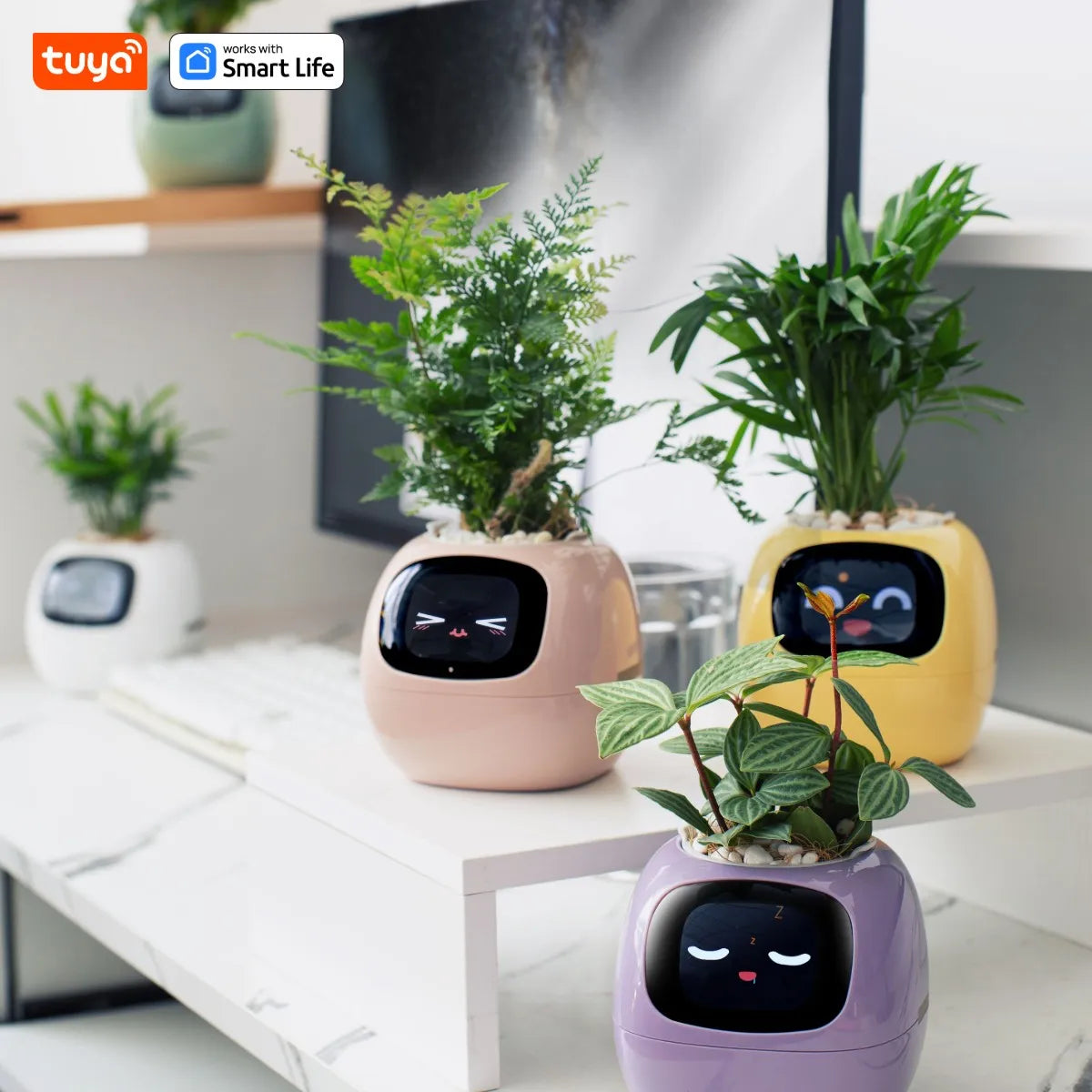 Tuya Ivy Smart Planter with AI - PlantedPro