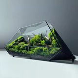 Geometric Glass Moss Rainforest Glass Tank - PlantedPro