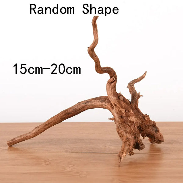 Premium Natural Driftwood for Aquascaping & Terrariums
