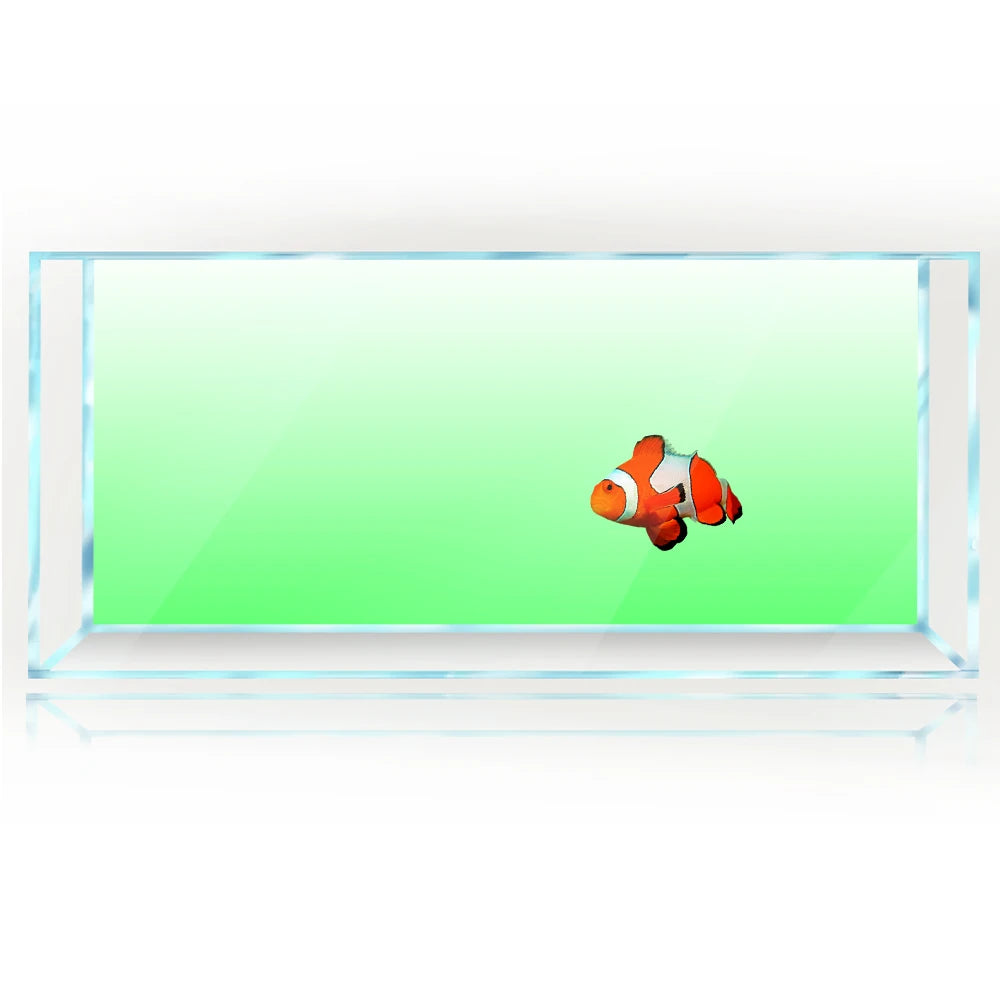 Gradient Fish Tank Background: PVC Aquarium Decor - PlantedPro