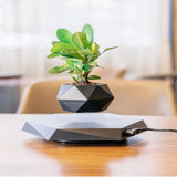 Levitating Air PlantPot (Black) - PlantedPro