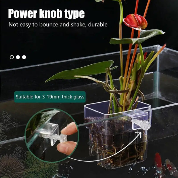 Aquarium Fish Tank Plant Holder with Hooks