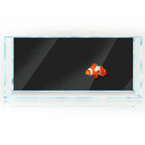 Gradient Fish Tank Background: PVC Aquarium Decor - PlantedPro