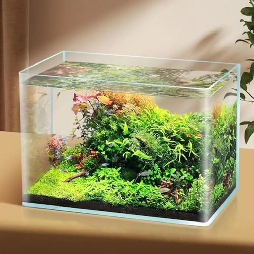 Rimless Glass Cube Aquarium, 2G/4G for Betta, Shrimp, & Nano Tanks