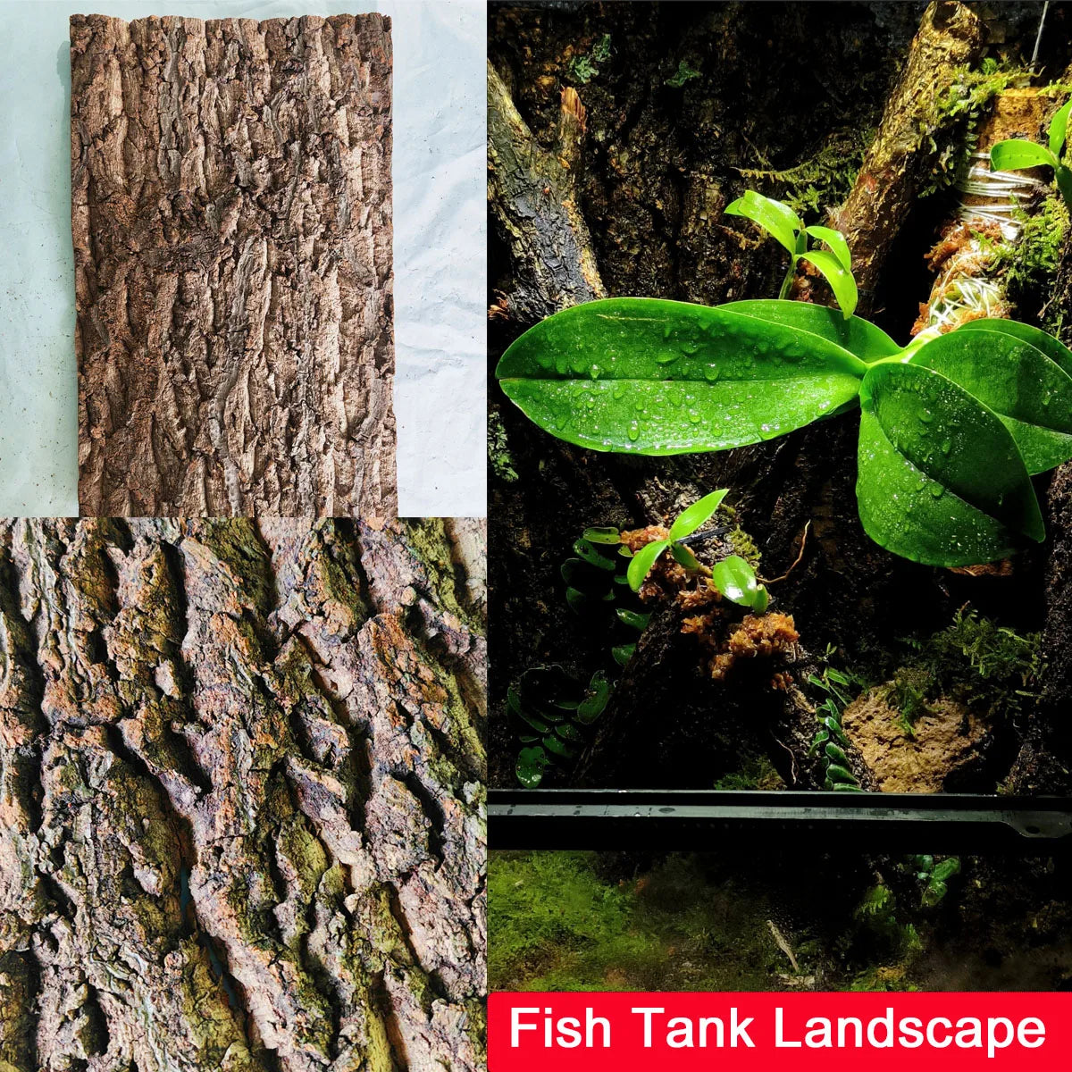 Natural 3D Driftwood for Large Aquariums: Authentic Fish Tank Ornaments - PlantedPro