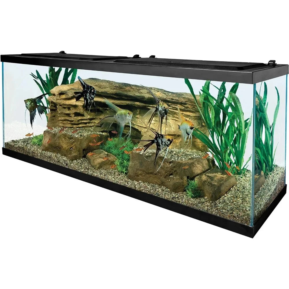 55-Gallon Rectangular Glass Aquarium