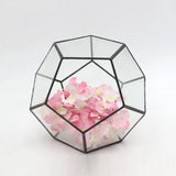 Geometric Glass Terrarium: Office Succulent Planter - PlantedPro