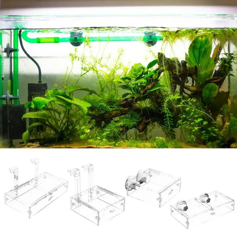 Acrylic Aquarium Shrimp Feeder & Breeding Isolation Box