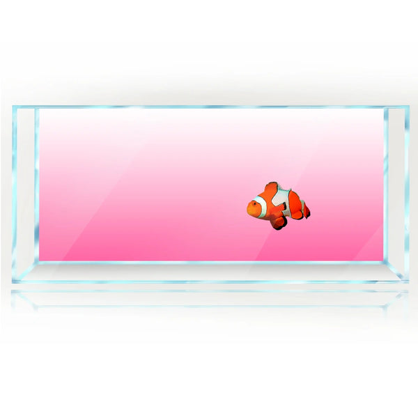 Gradient Fish Tank Background: PVC Aquarium Decor - PlantedPro