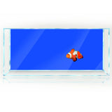 Gradient Fish Tank Background: PVC Aquarium Decor - PlantedPro