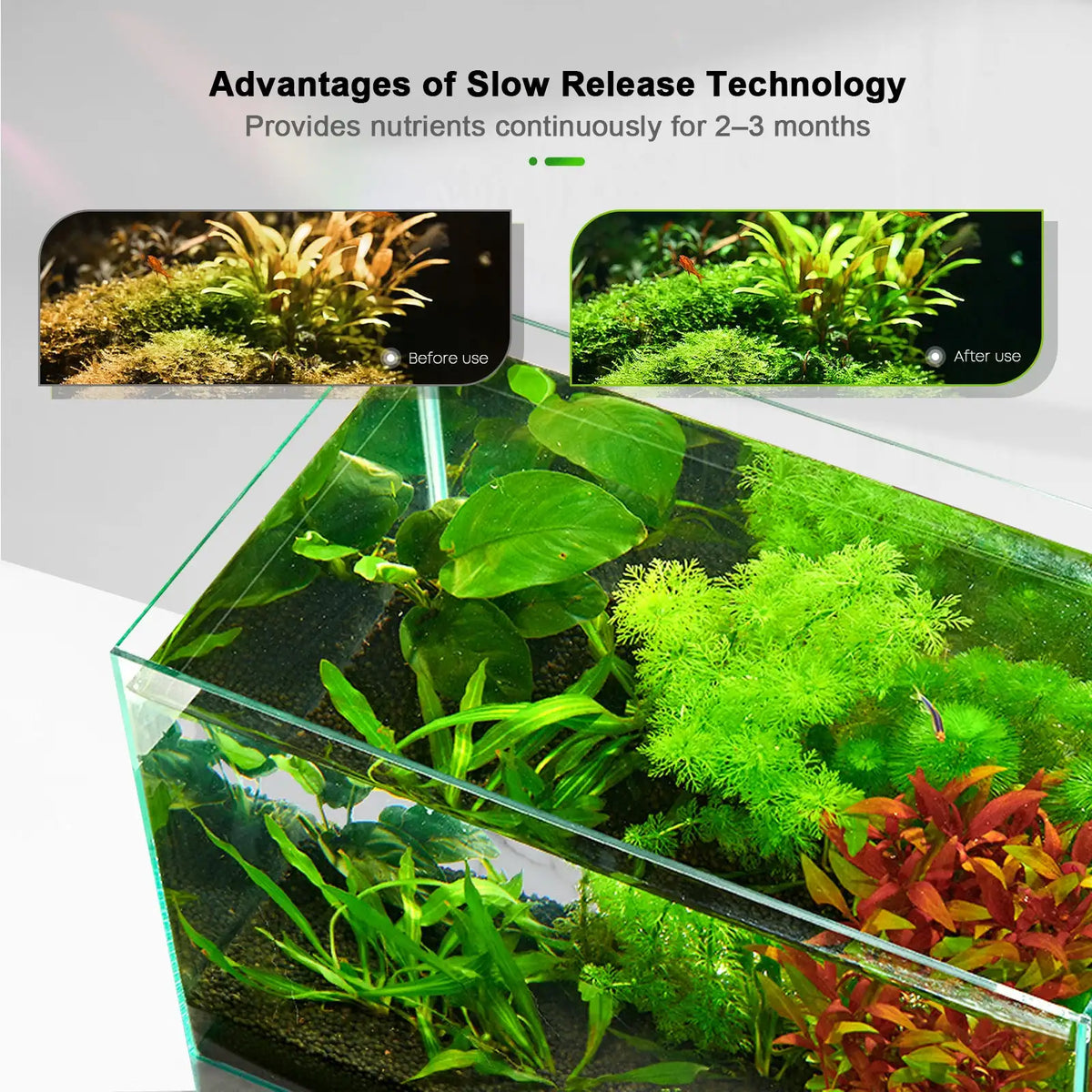 FZONE Aquarium Root Tabs — All-in-One Slow-Release Plant Fertilizer (56 Tabs)