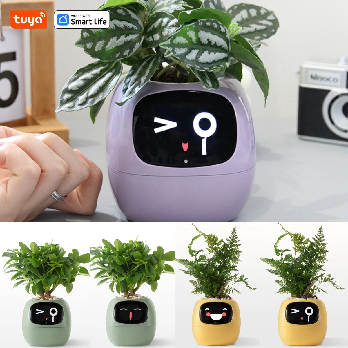 Tuya Ivy Smart Planter with AI - PlantedPro