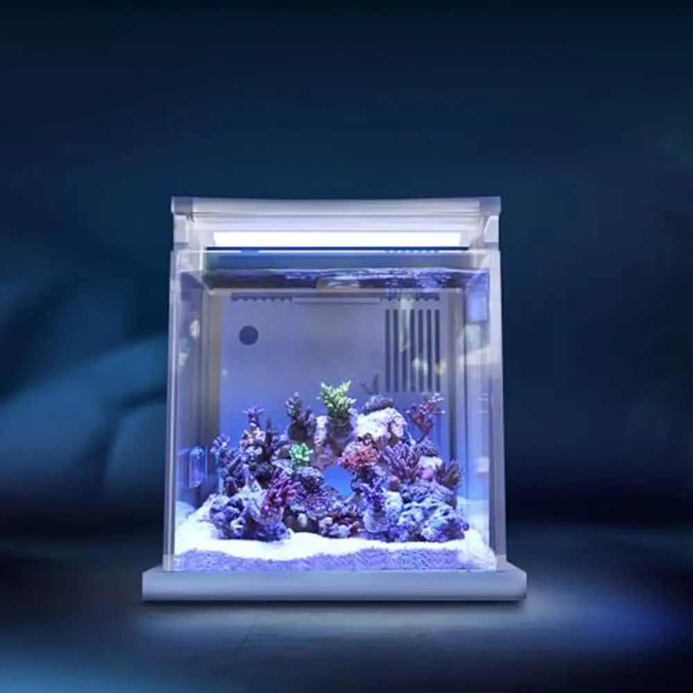 0.95gal Acrylic Mini Eco Aquarium with Back Filter & LED Light, 3.6L