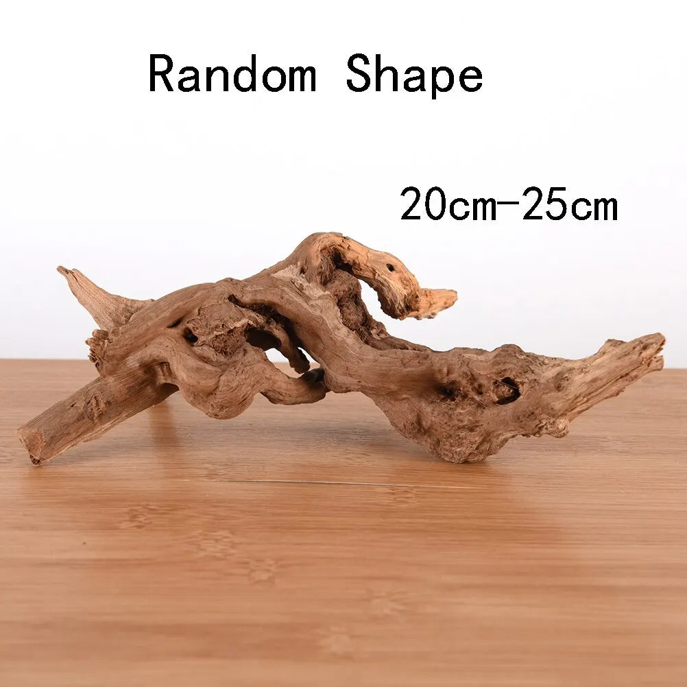 Premium Natural Driftwood for Aquascaping & Terrariums