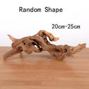  Random Shape