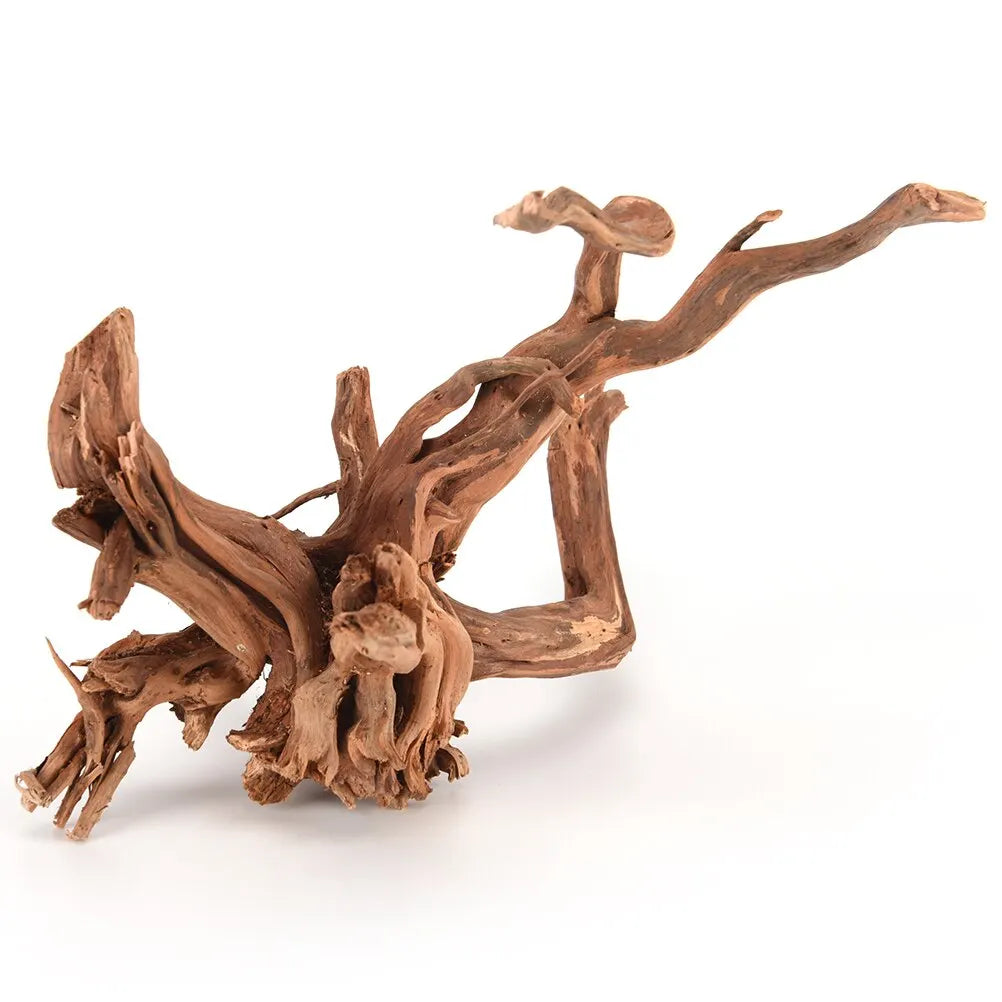 Premium Natural Driftwood for Aquascaping & Terrariums