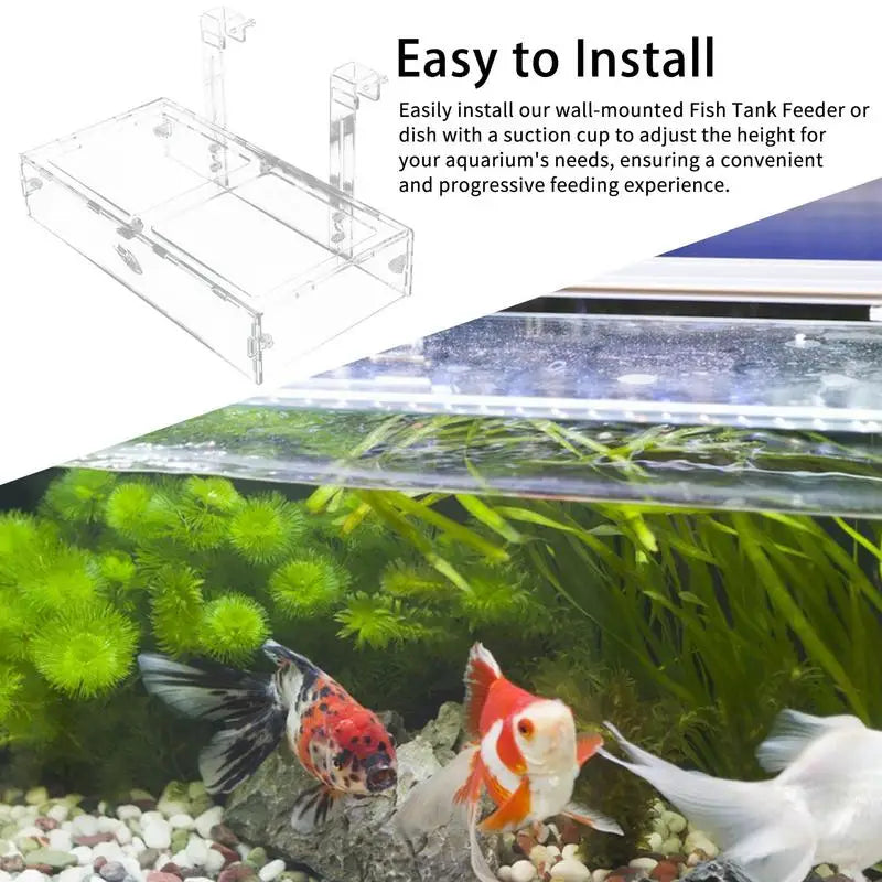 Acrylic Aquarium Shrimp Feeder & Breeding Isolation Box