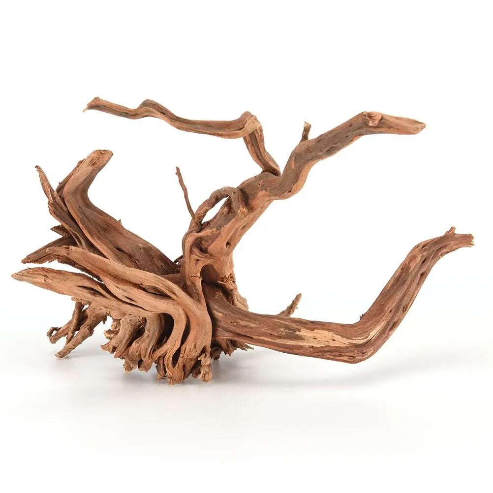 Premium Natural Driftwood for Aquascaping & Terrariums