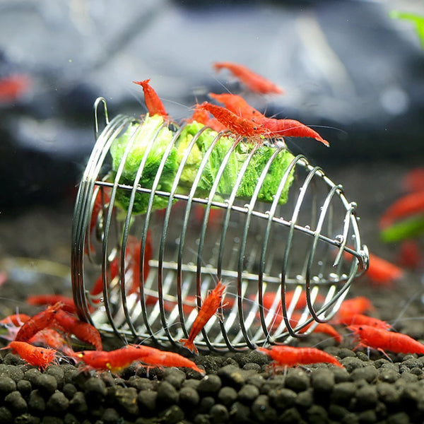 Shrimp Feeding Dish Stainless Steel - PlantedPro