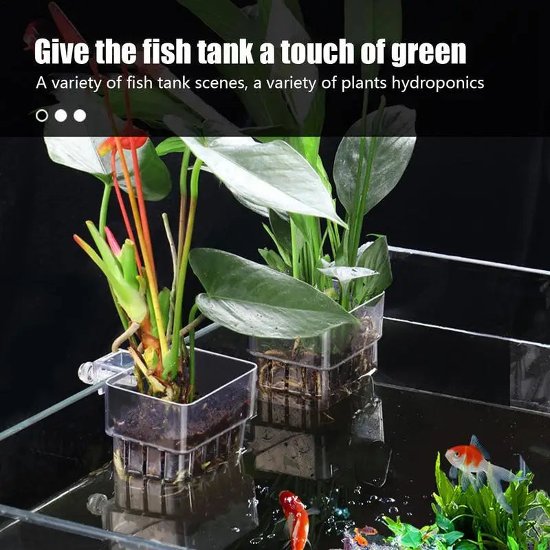 hang on aquarium planter Aquarium Fish Tank Plant Holder with Hooks – PlantedPro