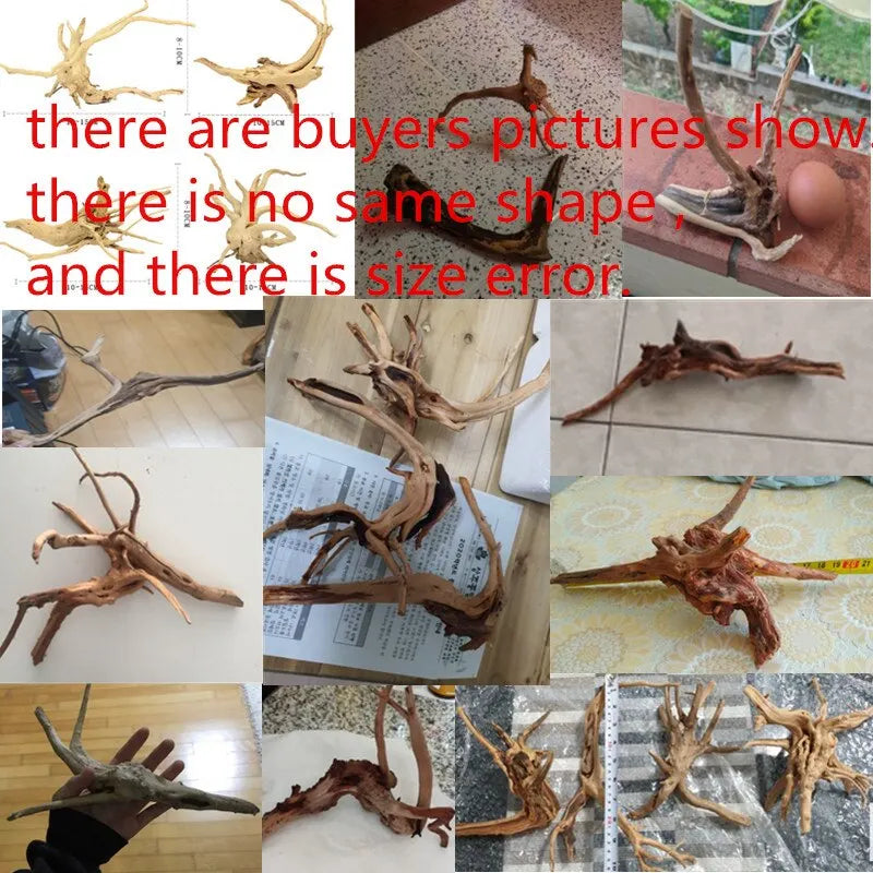 Premium Natural Driftwood for Aquascaping & Terrariums