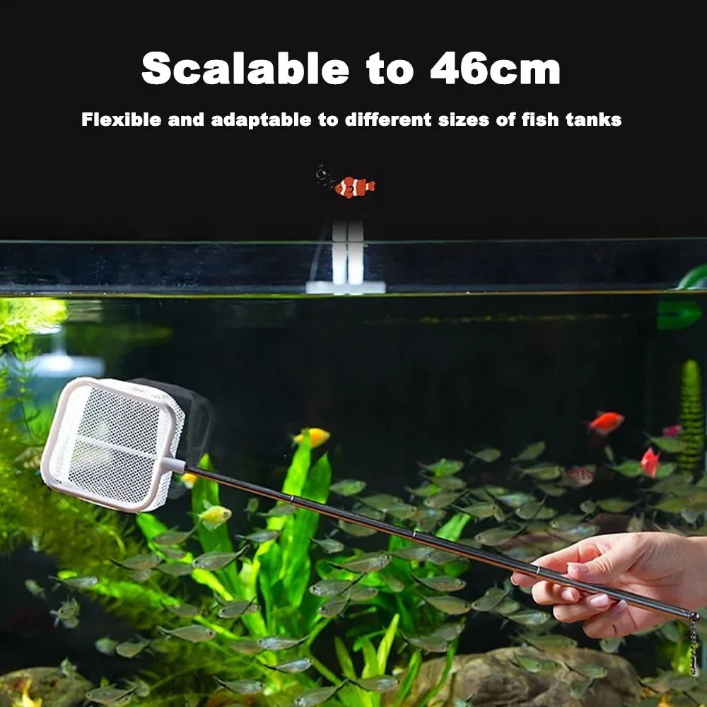 Aquarium Square Fishing Net With Suction Cup Extendable – PlantedPro Aquarium Square Fishing Net With Suction Cup Extendable – PlantedPro