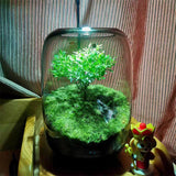 Grey glass bottles for moss landscaping and glass terrariums. - PlantedPro