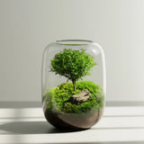 Tree of Life Moss Microlandscape full view showing tree-shaped moss sculpture in glass terrarium