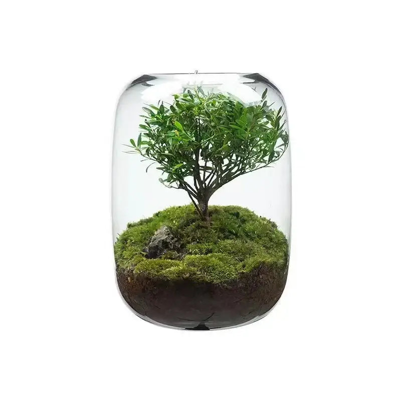 Tree of Life Moss Microlandscape side angle showing full terrarium container and tree silhouette