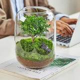 Tree of Life Moss Microlandscape displayed on a tabletop as a symbolic desktop terrarium