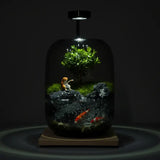 Veridian Haven Microlandscape displayed on a tabletop as a lush green desktop terrarium