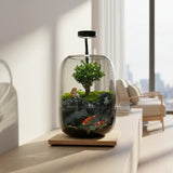 Veridian Haven Microecological Landscape complete set including internal plants and decoration