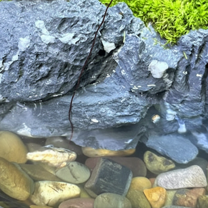 Veridian Haven Microecological Landscape [Including Internal Plants + Decoration]