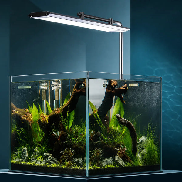 WEEK AQUA M Series LED Aquarium Light — App Control for Planted Tank