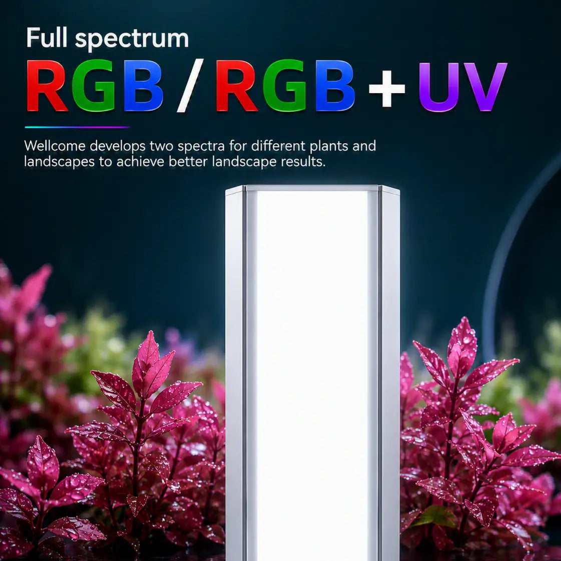 WEEK AQUA M Series LED Aquarium Light — App Control for Planted Tank