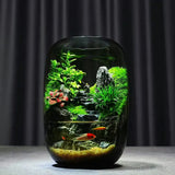 Water Clouds Moss Microlandscape top-down view showing complete terrarium composition