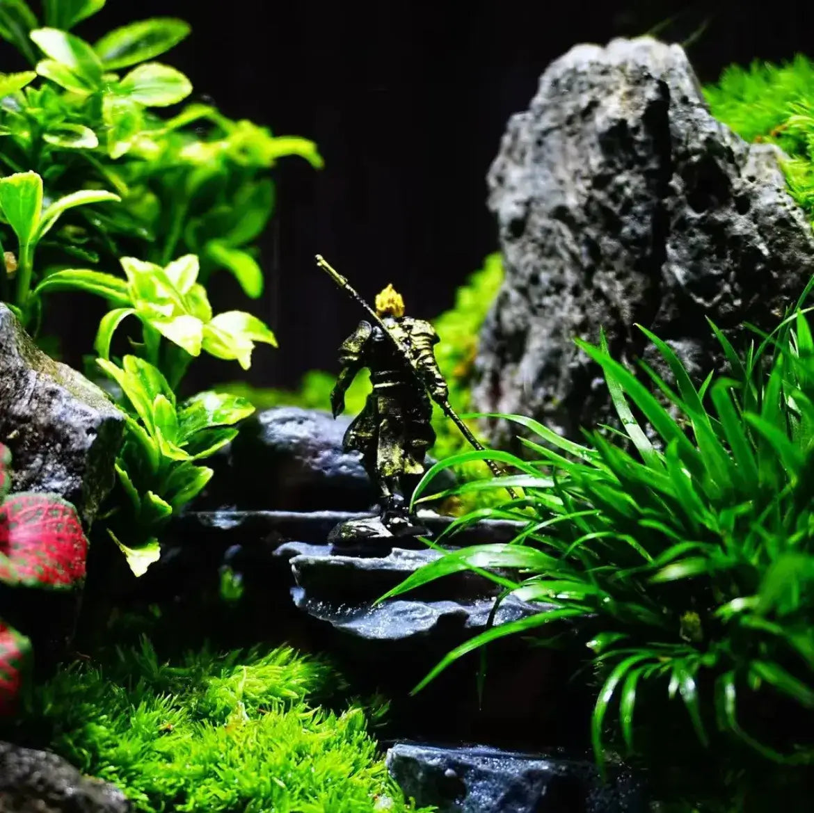 Water Clouds Moss Microlandscape lit view showing ambient lighting highlighting moss texture