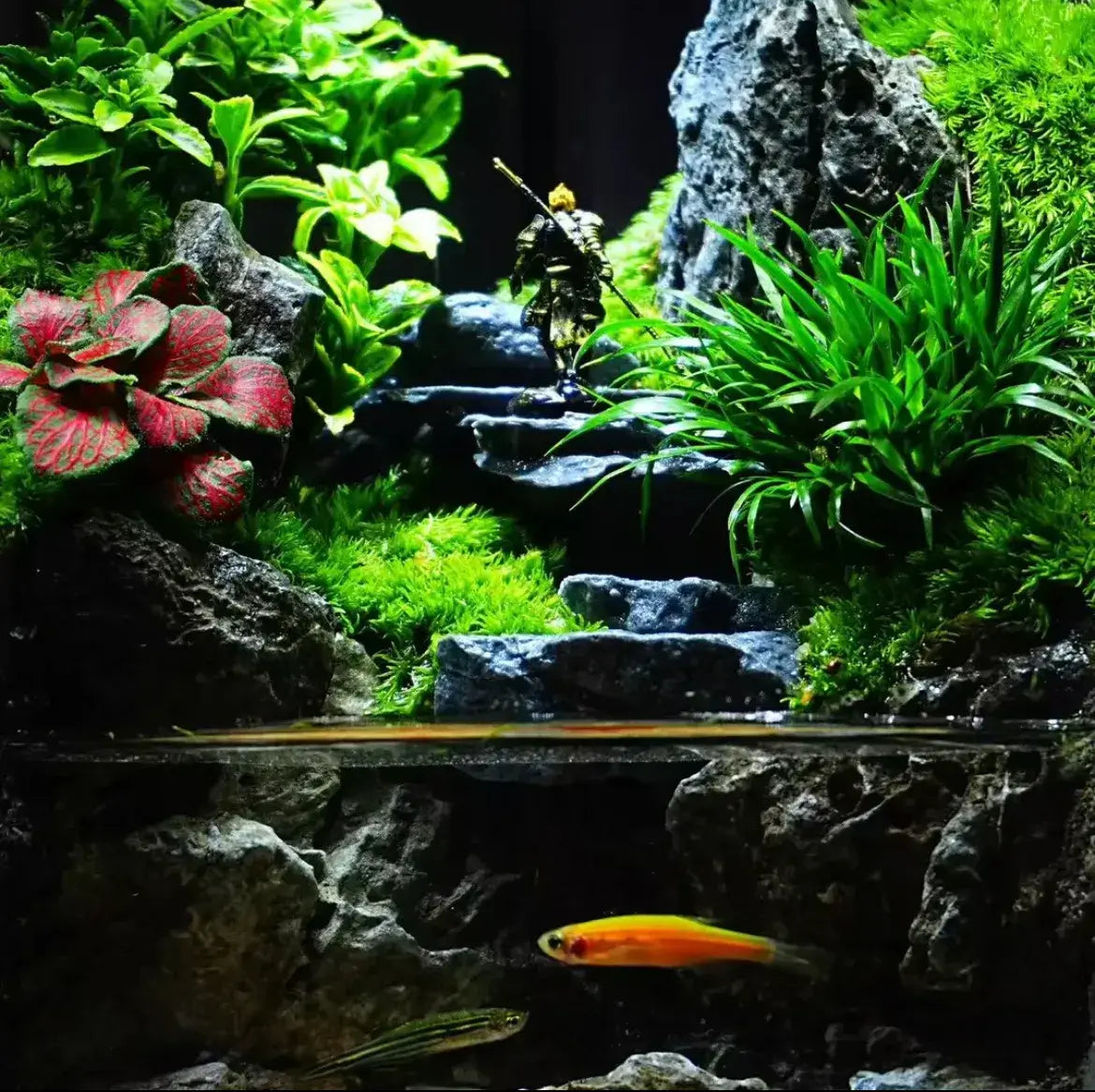 Water Clouds Moss Microecological Landscape complete set including internal plants and decoration