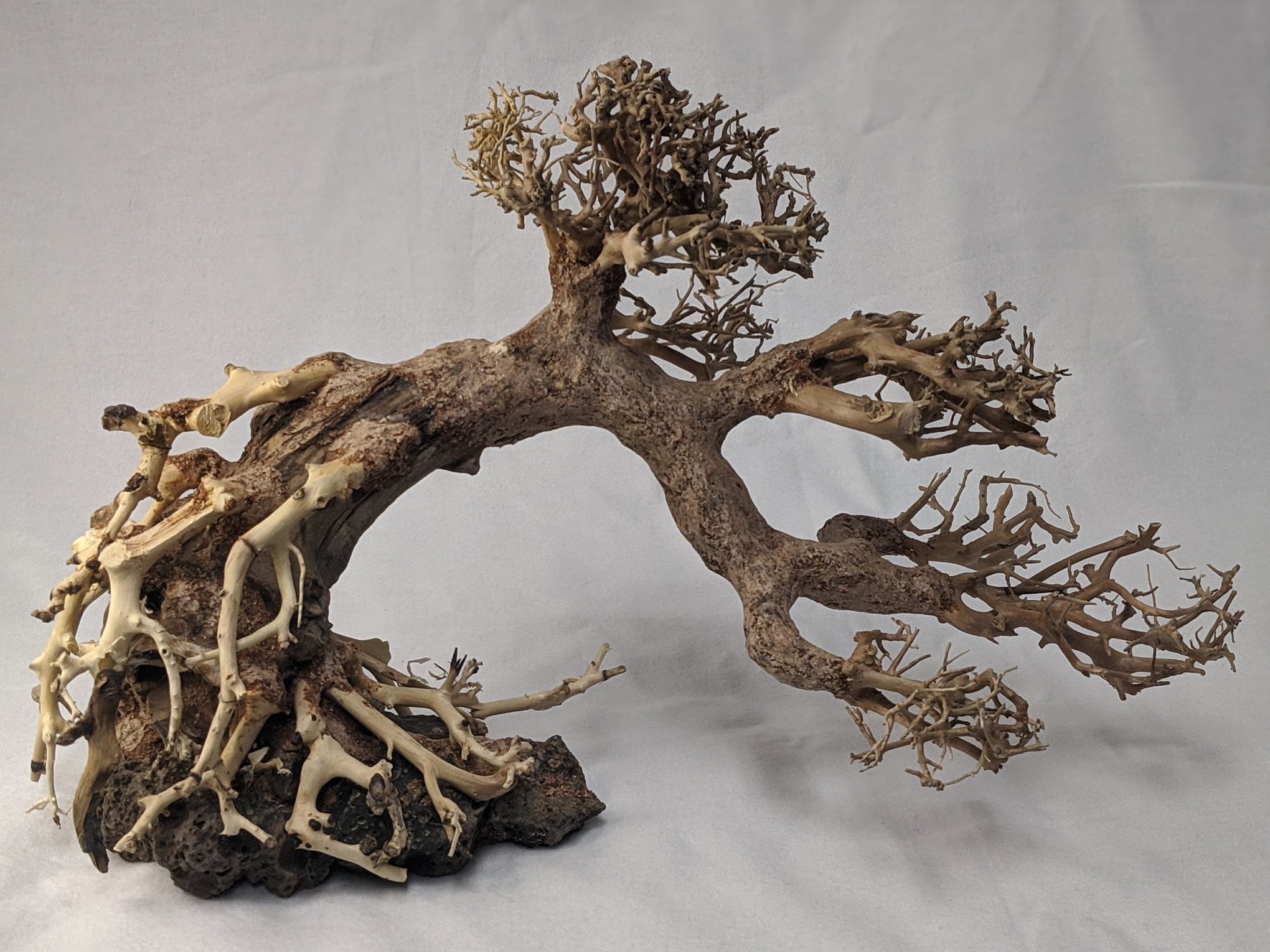 bonsai tree aquarium wood Aquarium Bonsai Driftwood Tree – PlantedPro