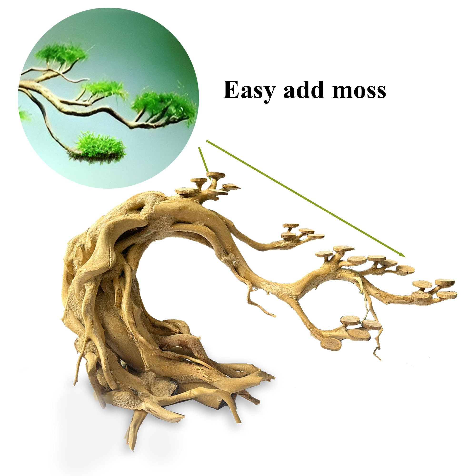 aqua bonsai tree for sale Aquarium Driftwood Bonsai Tree – PlantedPro